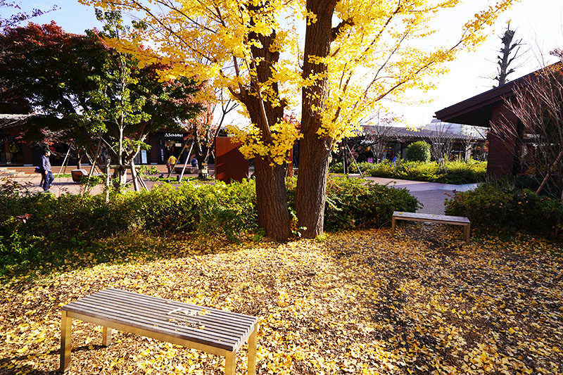 f:id:davetanaka:20181201131954j:plain