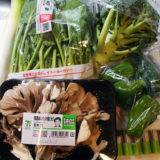 ヘルシオ レシピ#5：ヘルシオで【野菜のソフト蒸し 80度12分】にチャレンジ！