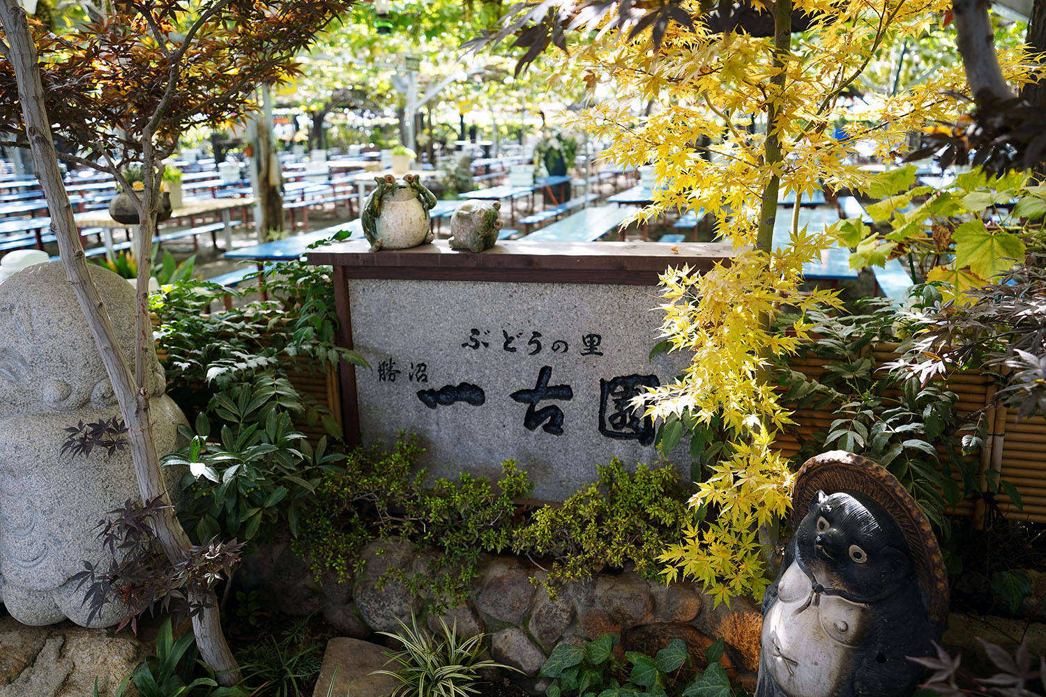 勝沼ぶどう郷 一古園