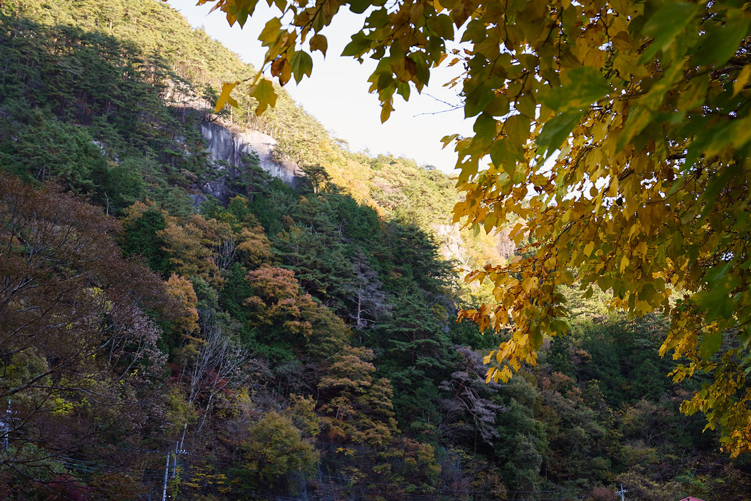 昇仙峡の紅葉