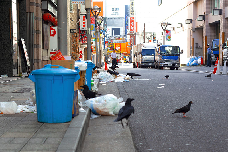 生ゴミ処理の重要性